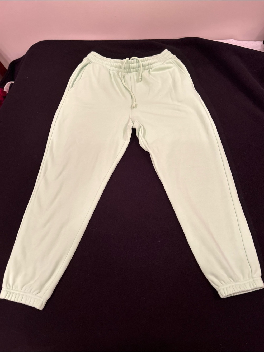 Fabletics ladies Mint Green Jogger Pants